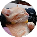 Ju Ju profile picture